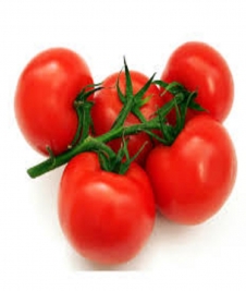 Tomato(Tomatar)... Image