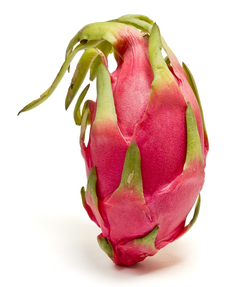 Dragon Fruit